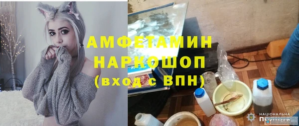 индика Володарск