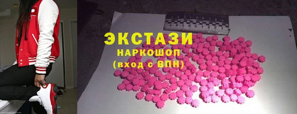 индика Володарск