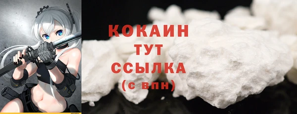 индика Володарск