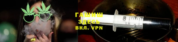 индика Володарск