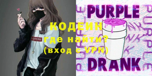 индика Володарск