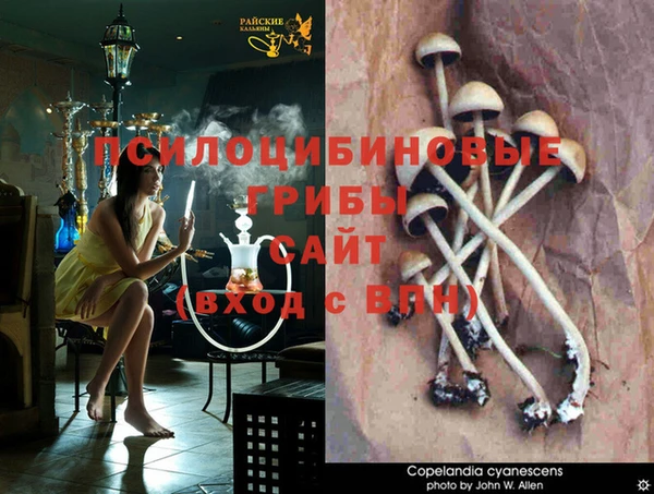 тгк Вязьма