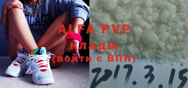 индика Володарск